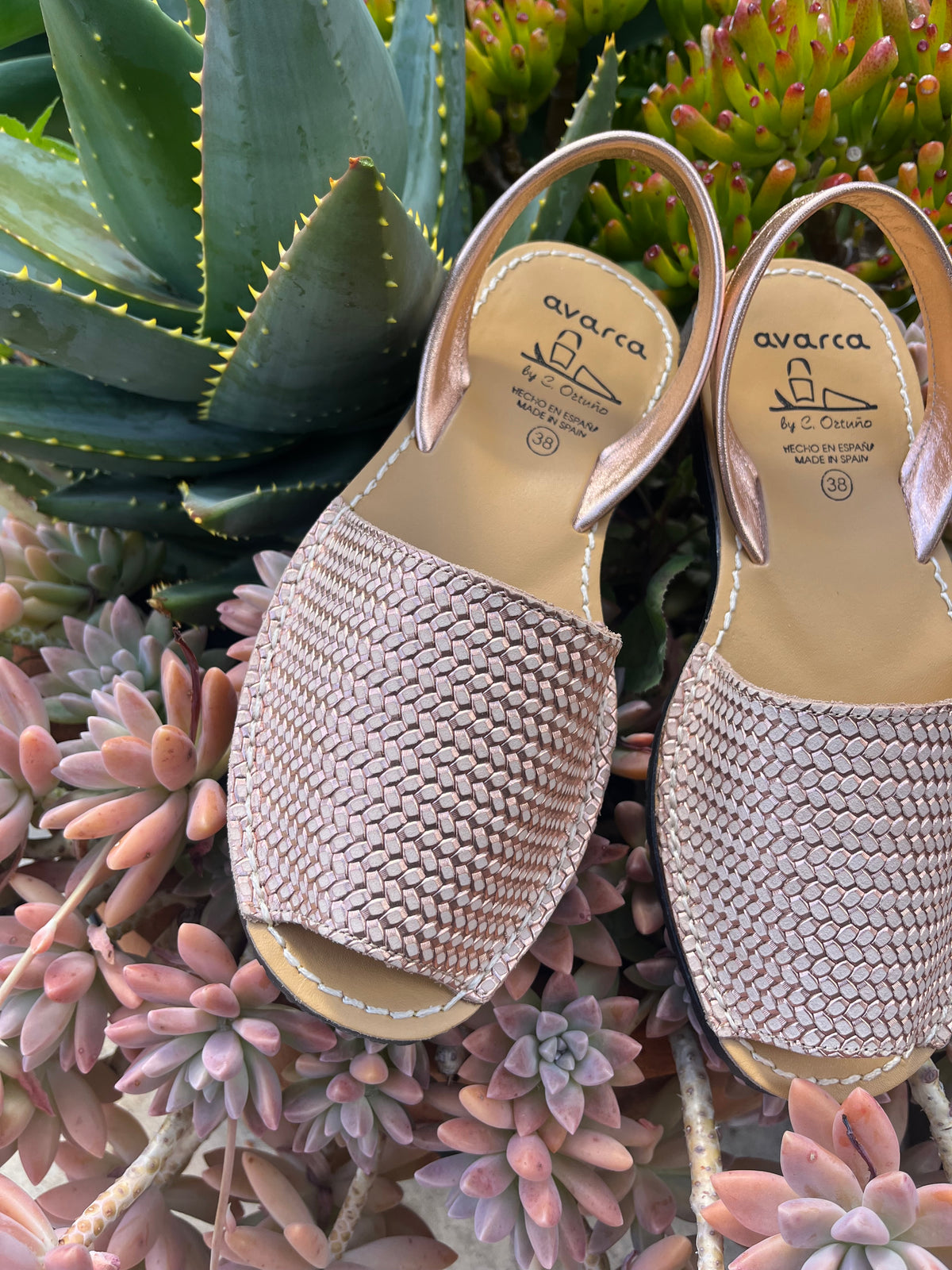 A pair of Avarca woven slingback sandals in a metallic champagne pink, displayed on a bed of pink and green succulents.